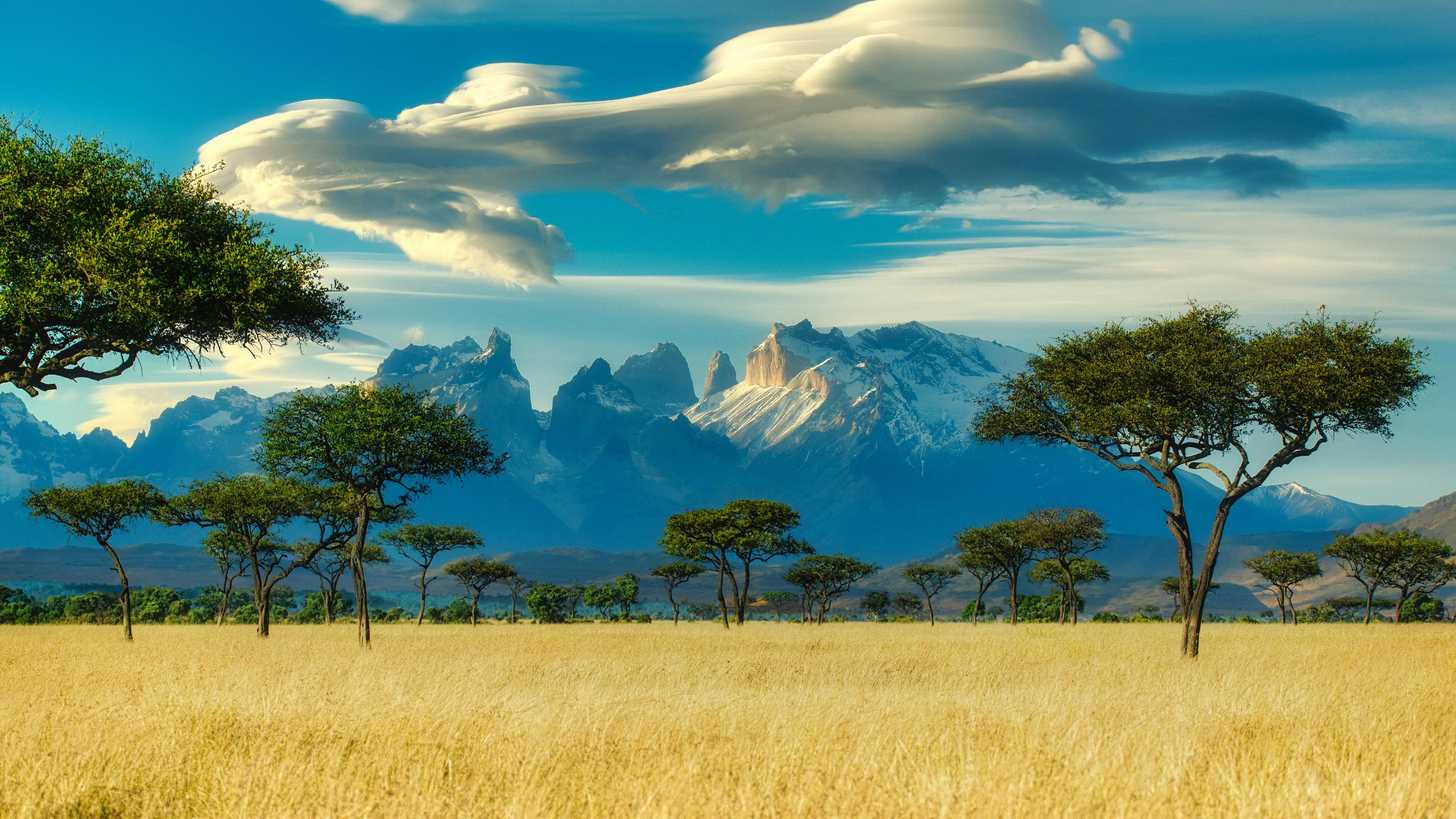 Best cities for digital nomads in 🇰🇪 Kenya