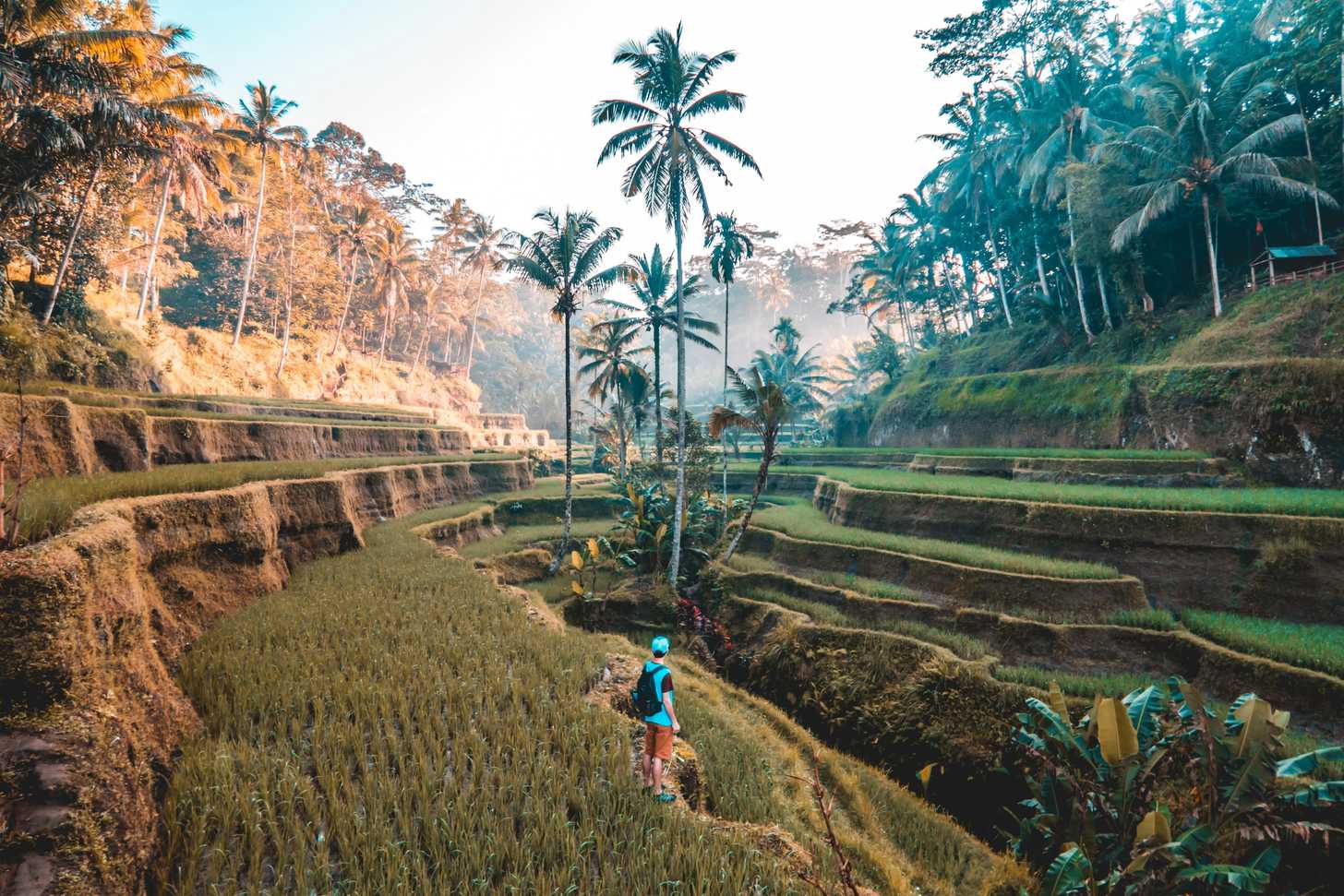 Best cities for digital nomads in 🇮🇩 Indonesia