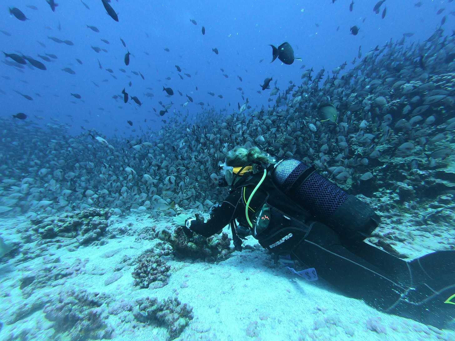 🤿 Top Digital Nomad Destinations for Diving & Snorkeling