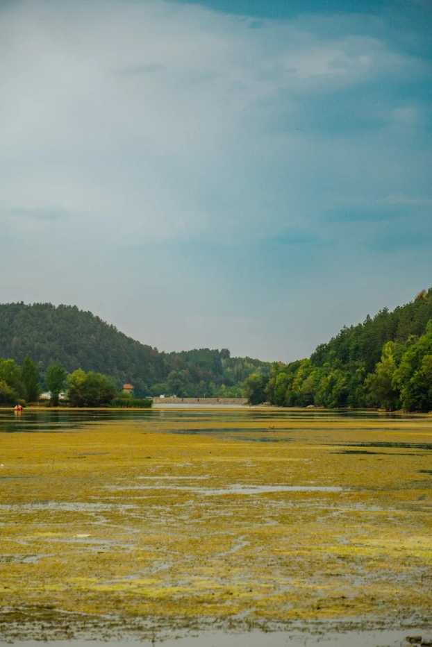 cost-of-living-in-guatemala-prices-expenses-feb-2026-citycost